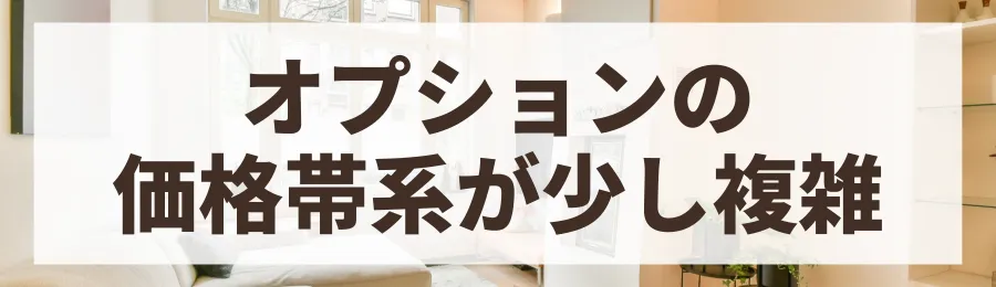 デメリット2：オプションが複雑で高くなりがち