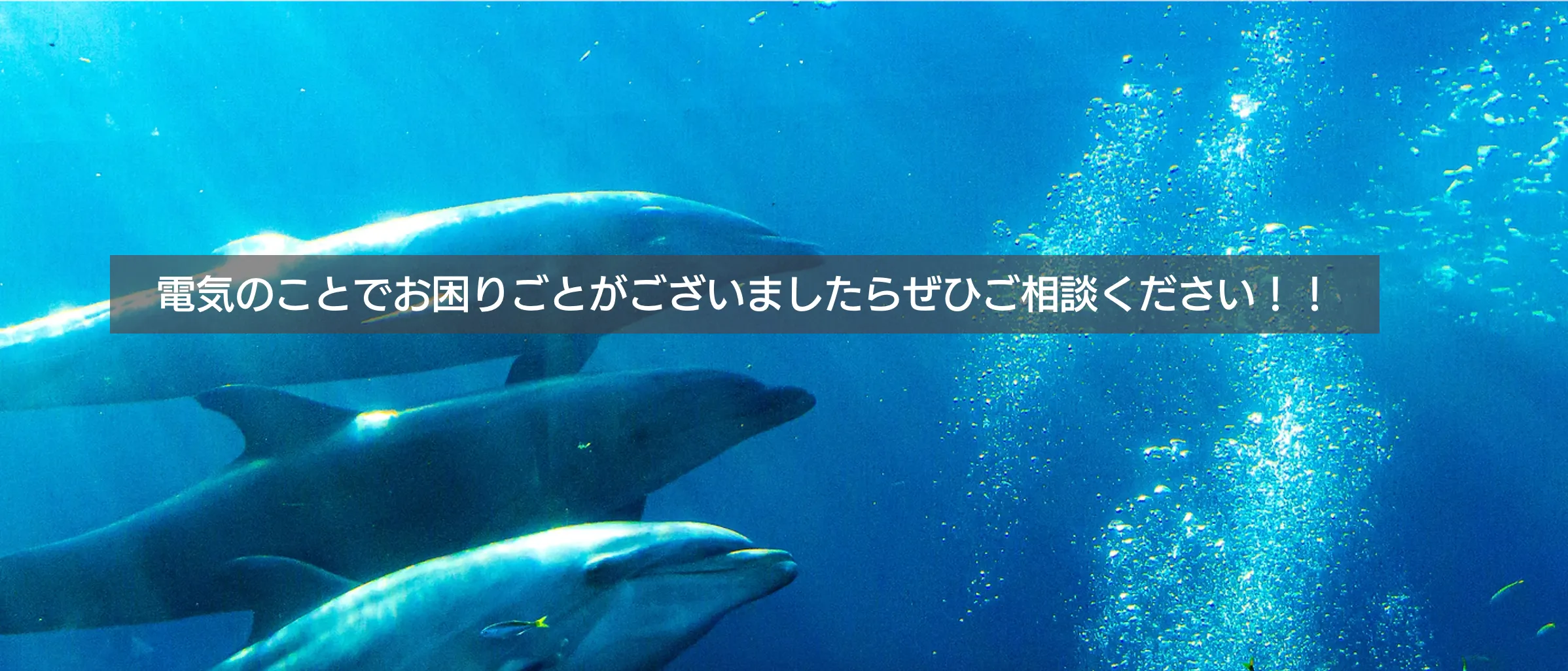 株式会社エコライフ