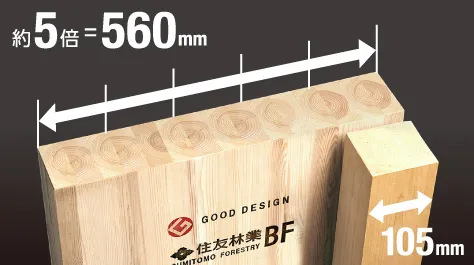 理由2：設計の自由度を高める「ビッグフレーム（BF）構法」