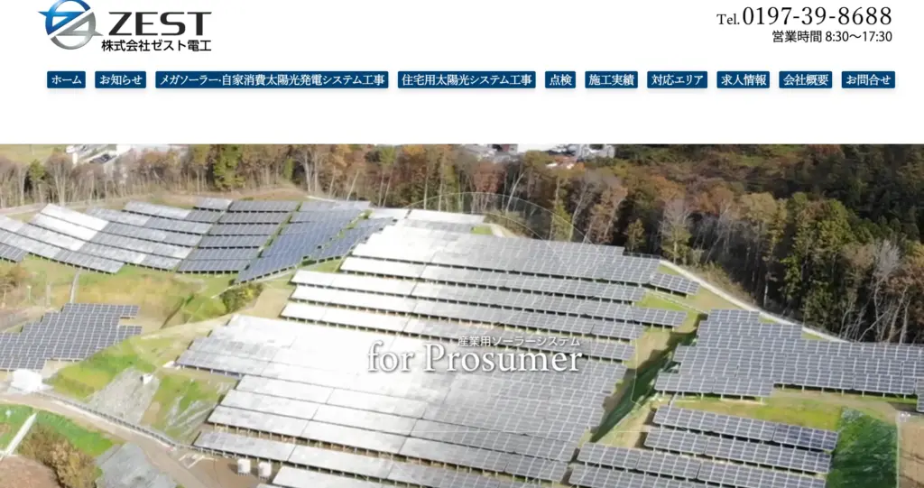 株式会社ゼスト電工